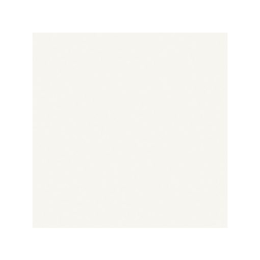 Light White Matt PAV_60x60 RT csempe